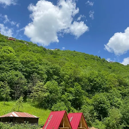 Ośrodek wypoczynkowy Bizim O'ra Kueme Evleri &
